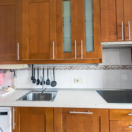 公寓 Piso/apartamento 阿维莱斯